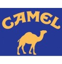 Camel Filter